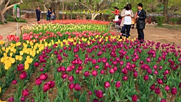 IMG_8486.JPG