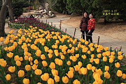 IMG_8489.JPG