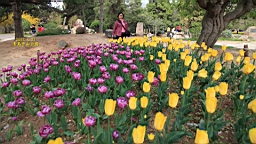 IMG_8497.JPG