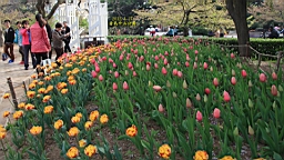 IMG_8499.JPG