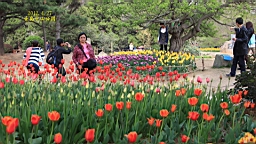 IMG_8500.JPG