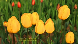 IMG_8501.JPG