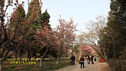 IMG_8505.JPG