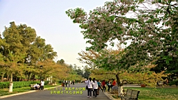 IMG_8506.JPG