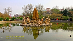 IMG_8507.JPG