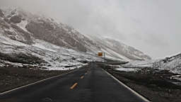 IMG_1559.JPG