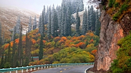 IMG_1598.JPG
