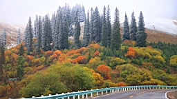 IMG_1599.JPG