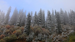 IMG_1604.JPG