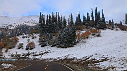 IMG_1611.JPG