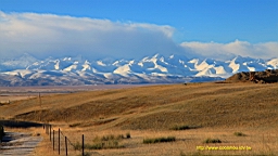 IMG_1725.JPG