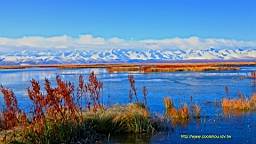 IMG_1739.JPG