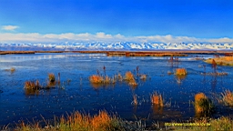 IMG_1741.JPG