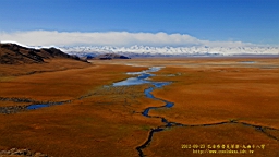 IMG_1773.JPG
