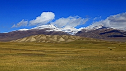 IMG_1823.JPG