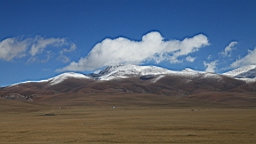 IMG_1831.JPG