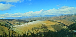 IMG_1884.JPG