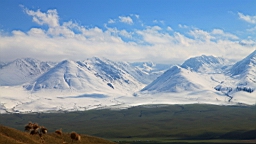 IMG_1936.JPG