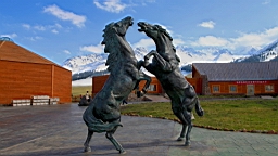 IMG_1939.JPG