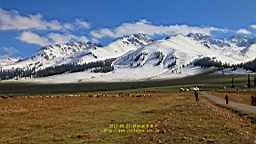 IMG_1941.JPG