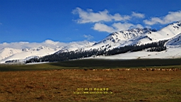 IMG_1942.JPG