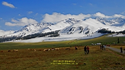 IMG_1944.JPG