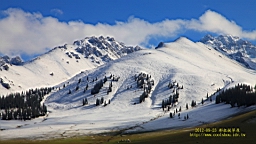 IMG_1945B.JPG