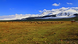 IMG_1954.JPG