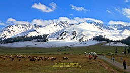 IMG_1955.JPG