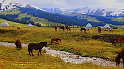 IMG_1993.JPG