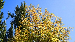 IMG_2052.JPG