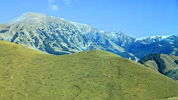 IMG_2092.JPG