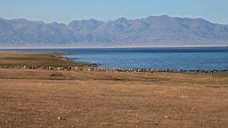 IMG_2128.JPG