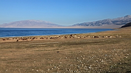 IMG_2130.JPG