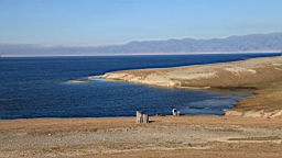 IMG_2134.JPG