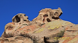 IMG_2251.JPG