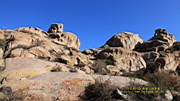IMG_2254.JPG