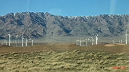 IMG_2297.JPG