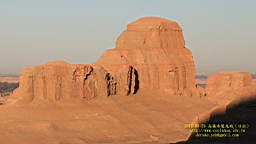 IMG_2454.JPG