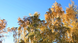 IMG_2526.JPG