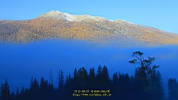 IMG_2564.JPG
