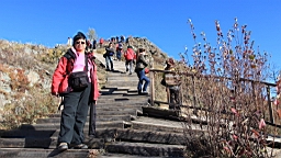 IMG_2597.JPG