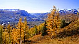 IMG_2616.JPG