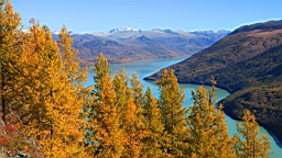 IMG_2646.JPG
