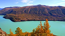 IMG_2651.JPG