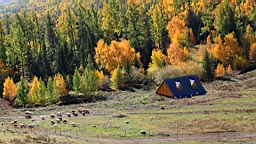 IMG_2684B.JPG