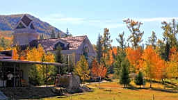 IMG_2697.JPG
