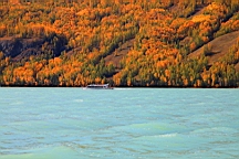 IMG_2763.JPG