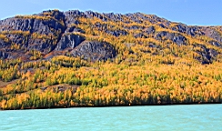 IMG_2764.JPG