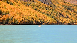 IMG_2768.JPG